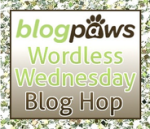 Blog Paws Blog Hop