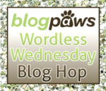 Blog Paws  … <a href=