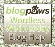 Wordless Wednesday: Always Helping