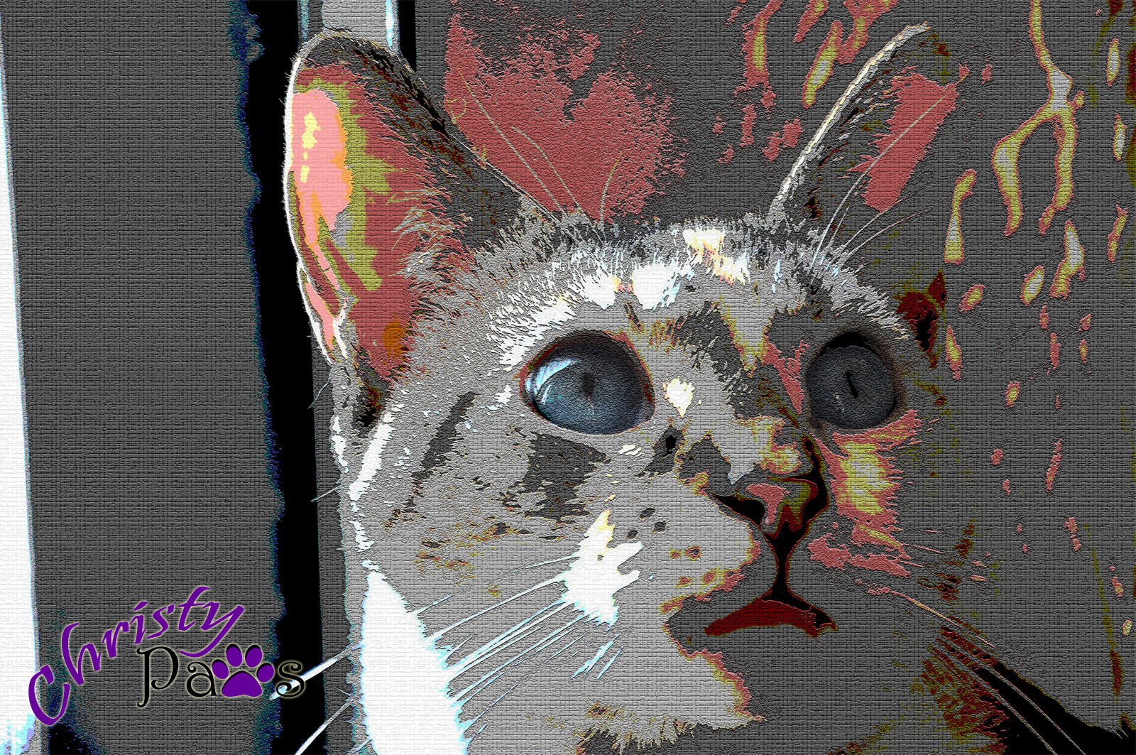 Caturday Art: Mostly Gray