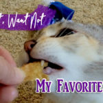 cat taking a treat with text overlay: Waste Not, Want Not My Favorite Treats!