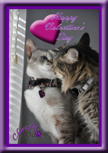 Christy's Love Valentine Card