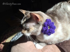 About Last Week - Christy with crocheted flower