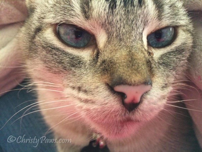 Sunday Selfies: Pink Reflection