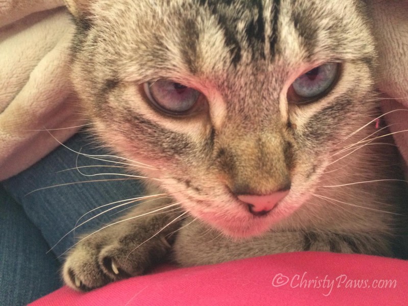 Sunday Selfies: Pink Reflection