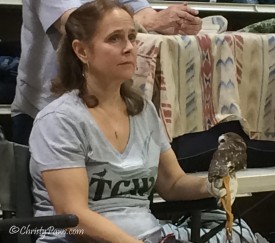 Susan Manning, TCWC Director of Animal Care, with saw whet owl, Brutus