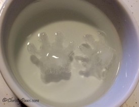 frozen paws in water