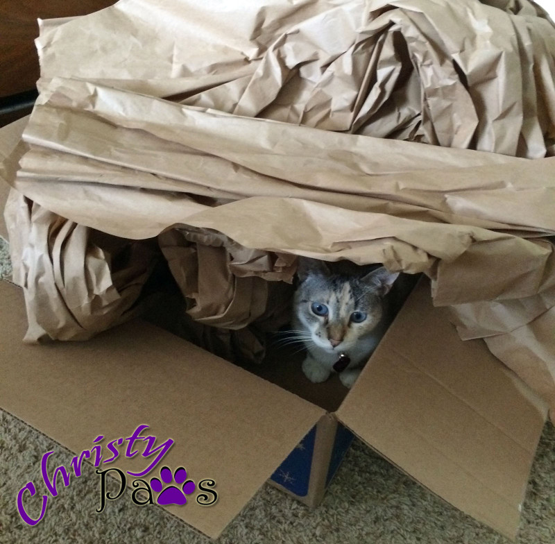 Christy in one of her paper forts - boxes