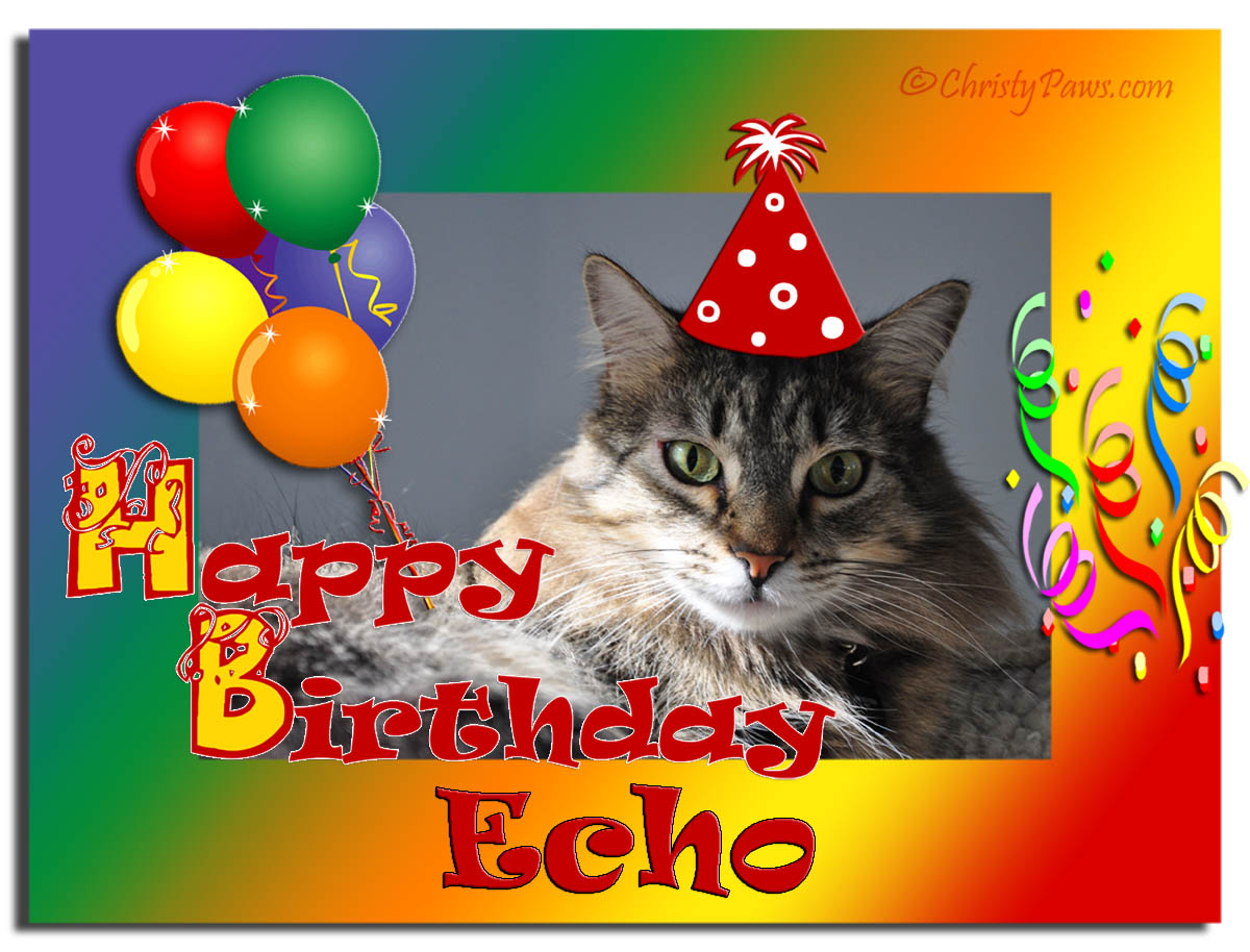 Sunday Selfies: Echo's Birthday