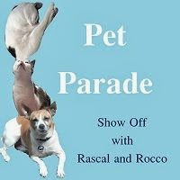 New Pet Parade button 200x200