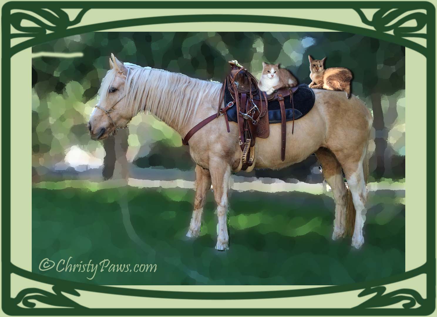 Caturday Art: Pony Rides