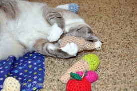 My Pawsome Prize from 15andmeowing - Crochet Cat Toys
