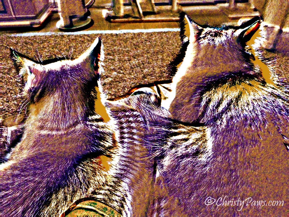 Caturday Art: Embossed Bookends