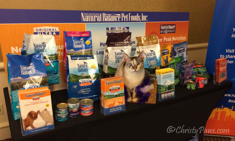 Flat Me on the Job at BlogPaws - Grain free canned food, a raw diet alternative