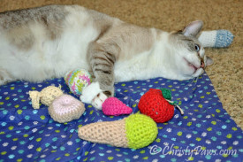 15andmeowing toys 161_2222