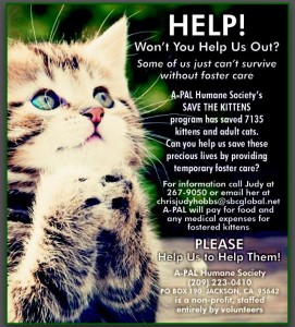 A-Pal Humane Society Won't You Help Us Foster Poster