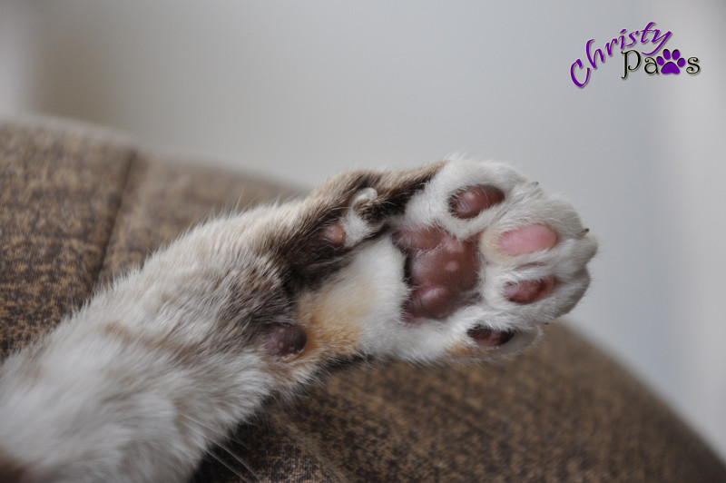 Waving bye - multi-colored toes