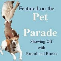 New-Pet-Parade-featured-on-button-200x200