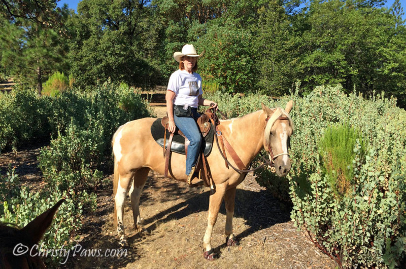 Cowcat UP! - Trail Ride Adventure of a Cat Scout - on the trail