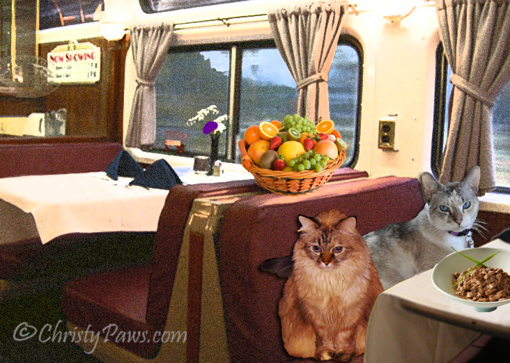 train dining car