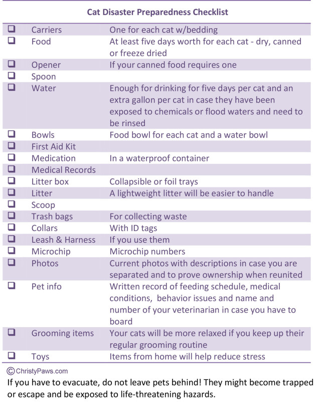 Cat Disaster Preparedness Checklist