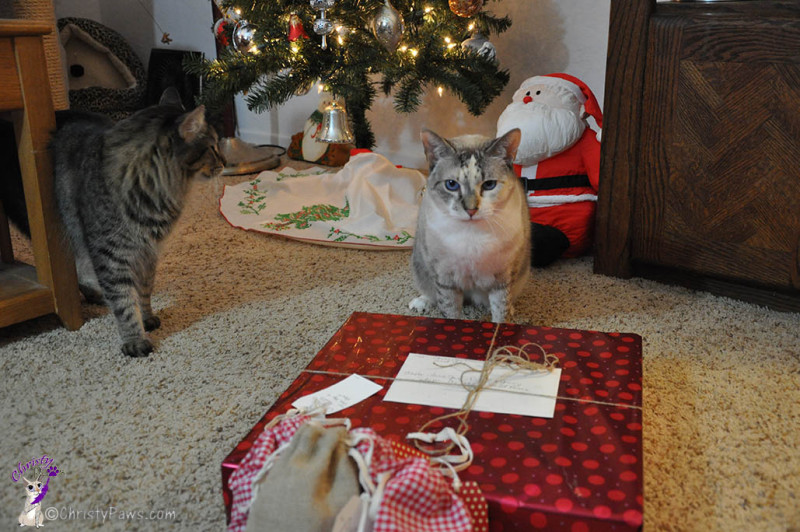 Christy posing with Secret Paws packages