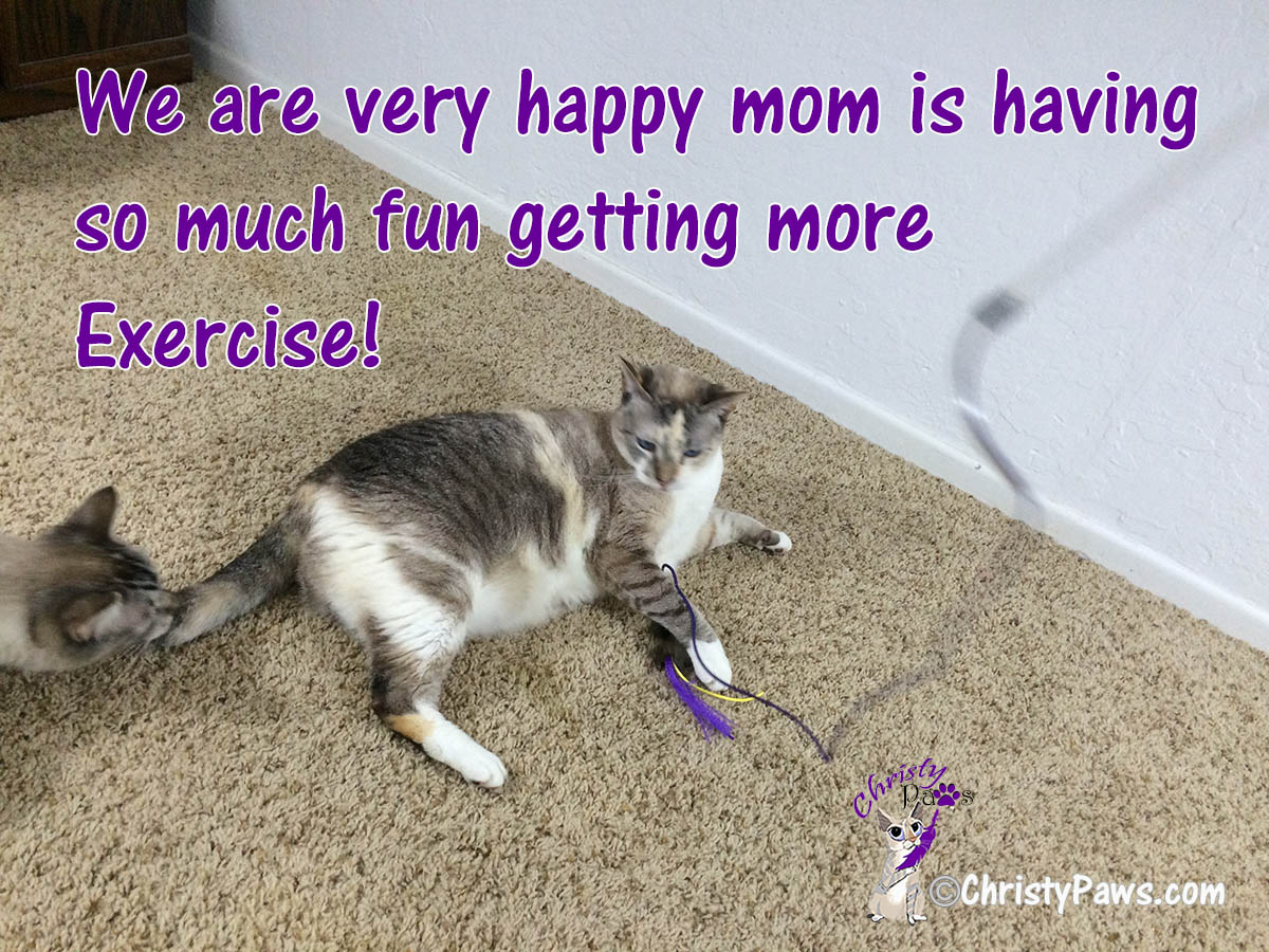 How we help mom get more exercise