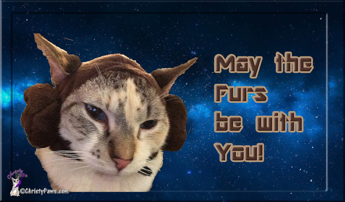 Caturday Art: May the Furs be with You