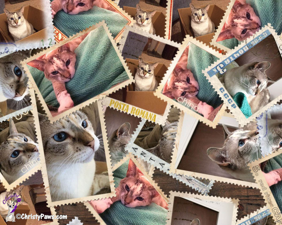 Christy on stamps