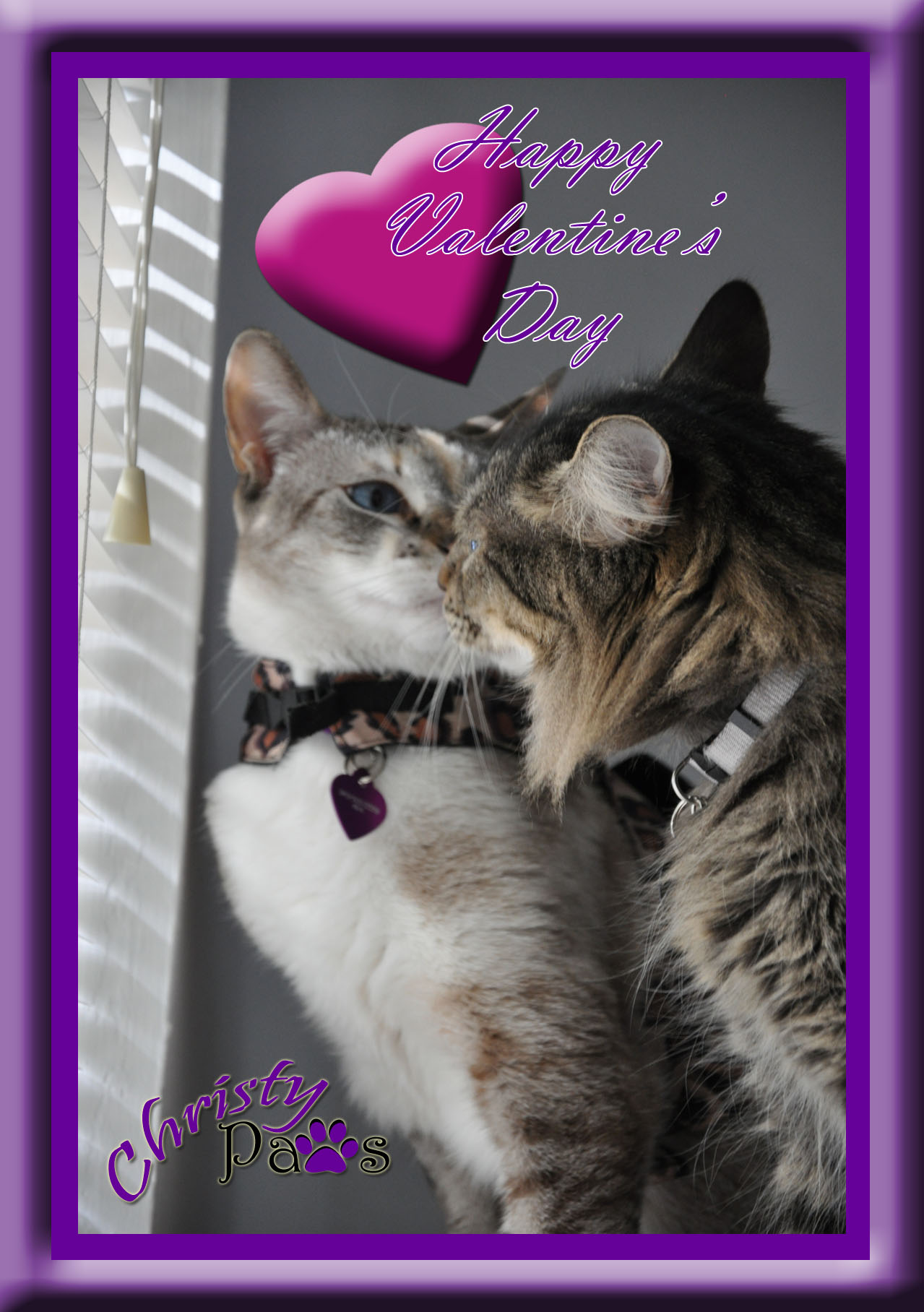 Caturday Art: Valentine Card 2015