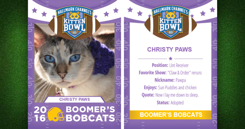 Kitten Bowl trading card