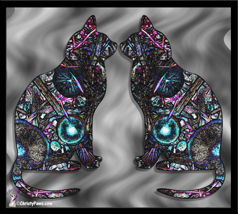 Two cats on marbled glass using shape tool in Photoshop