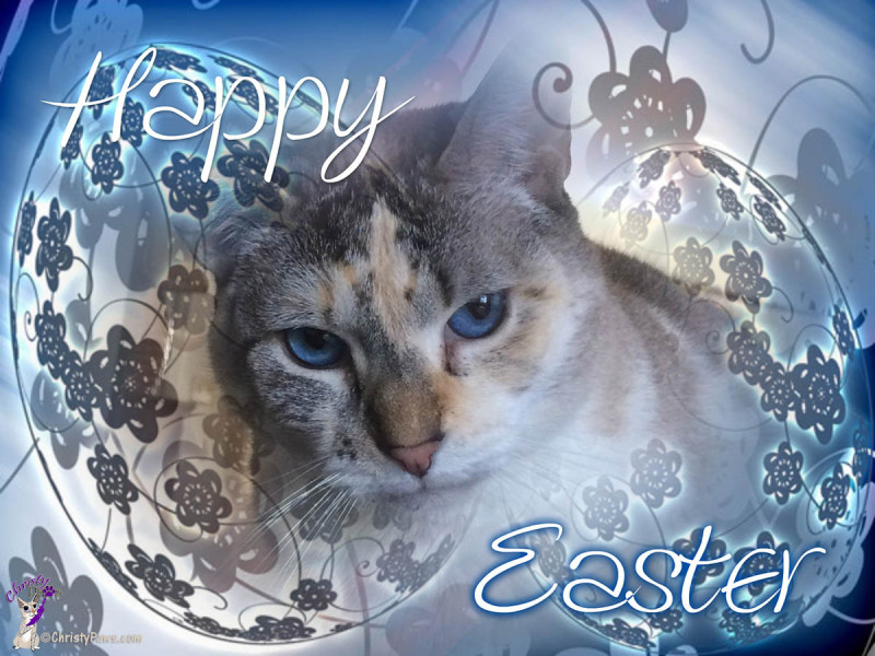 Happy Easter card