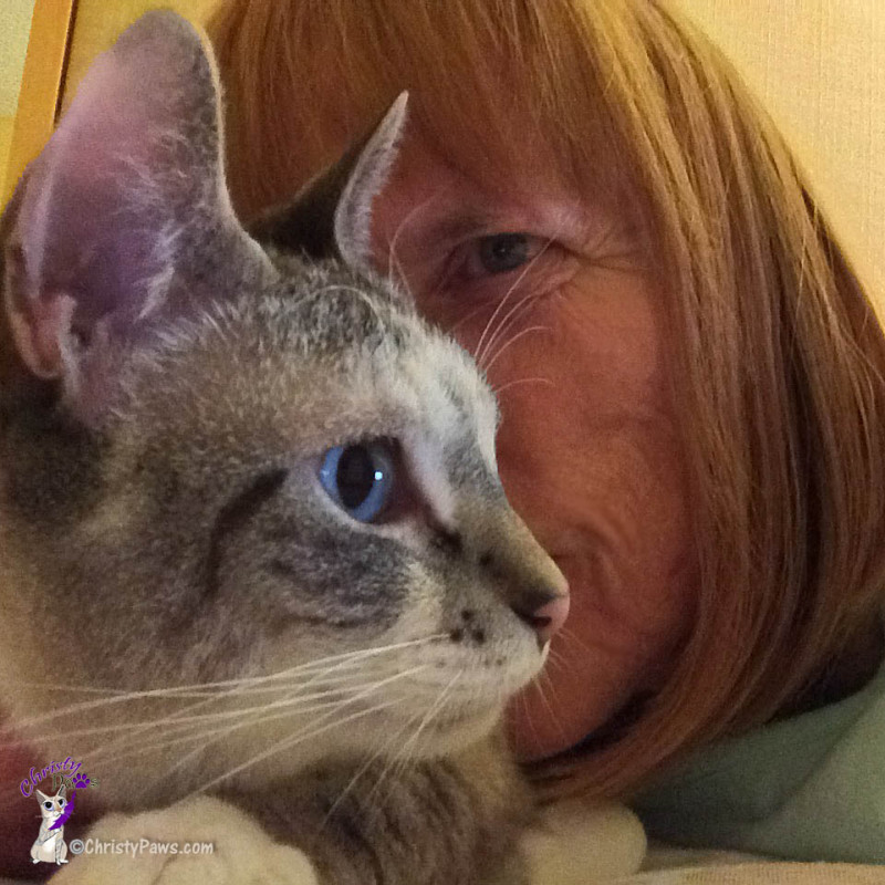 Selfie with mom - one of our hotel room selfies