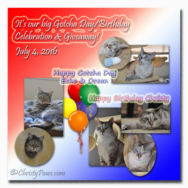 July Celebration 2016 and blogpaws swag giveaway