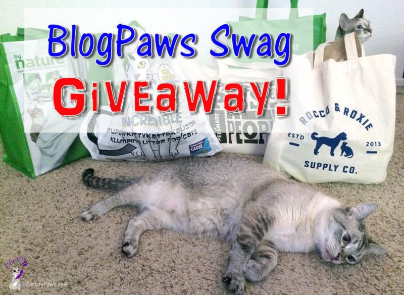 BlogPaws Swag Giveaway