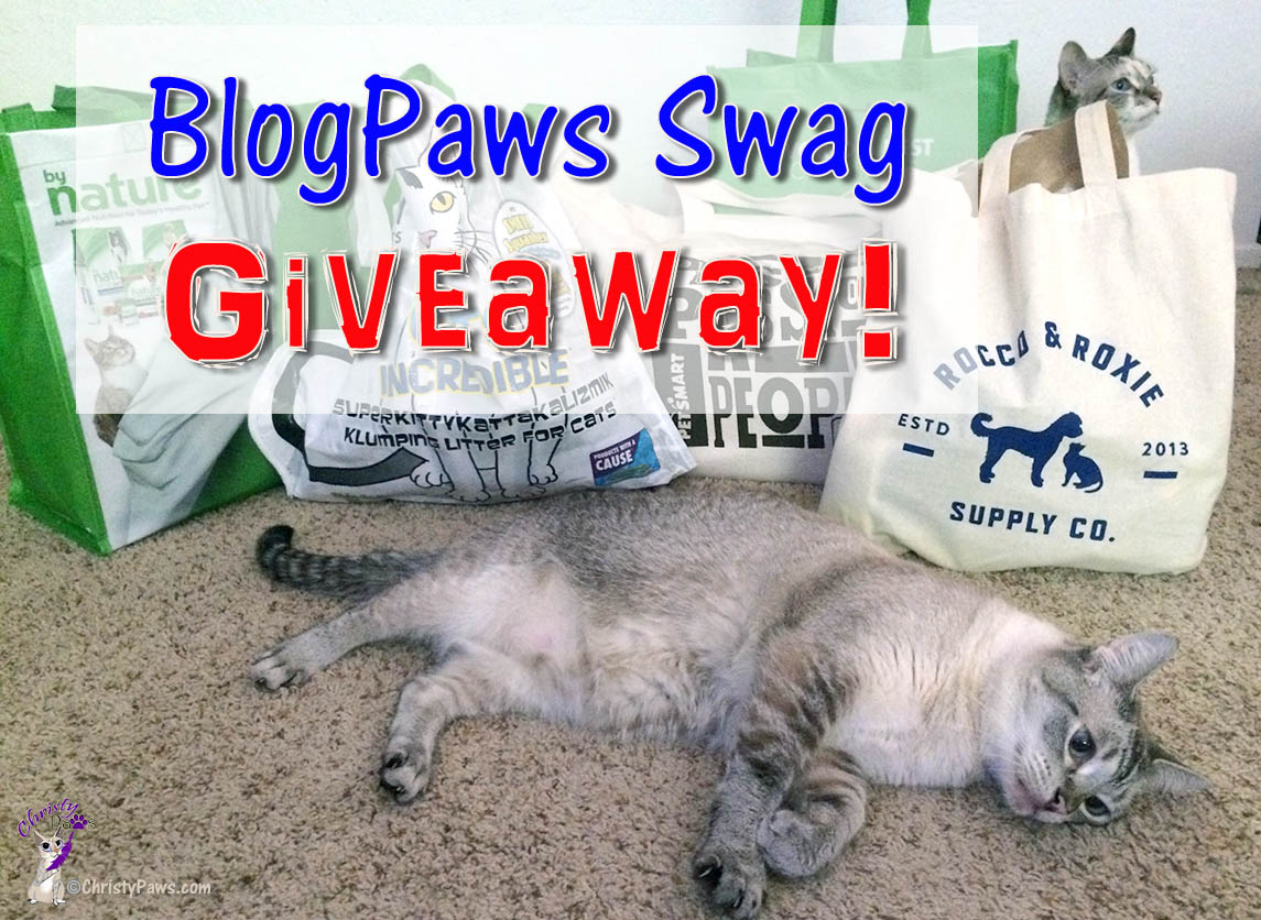 Happy Independence Day! Today is also our big birthday/gotcha day celebration. We're having a BlogPaws swag GIVEAWAY! Come enter for a chance to win.