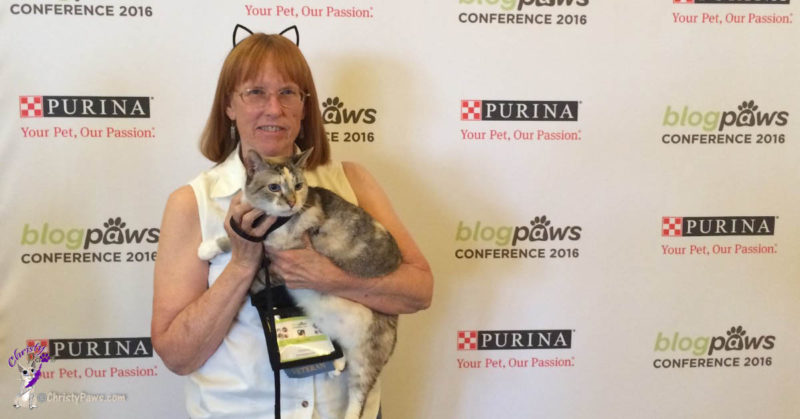 BlogPaws Conference, Phoenix, AZ, 2016 - Why my cat diet for weight loss didn't work