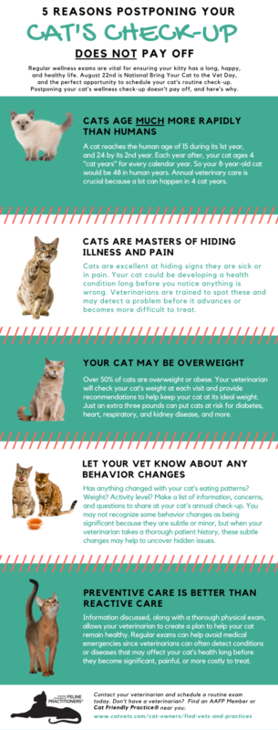 Bring Your Cat to the Vet Day Infographic