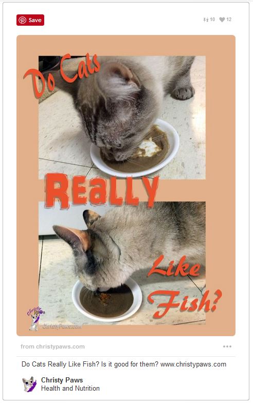 Do Cats Like Fish Pinterest Capture