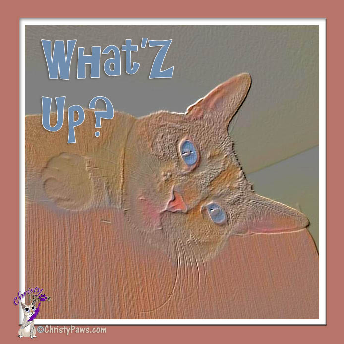WhatZ Up - artified photo from My July Instagram Favorites