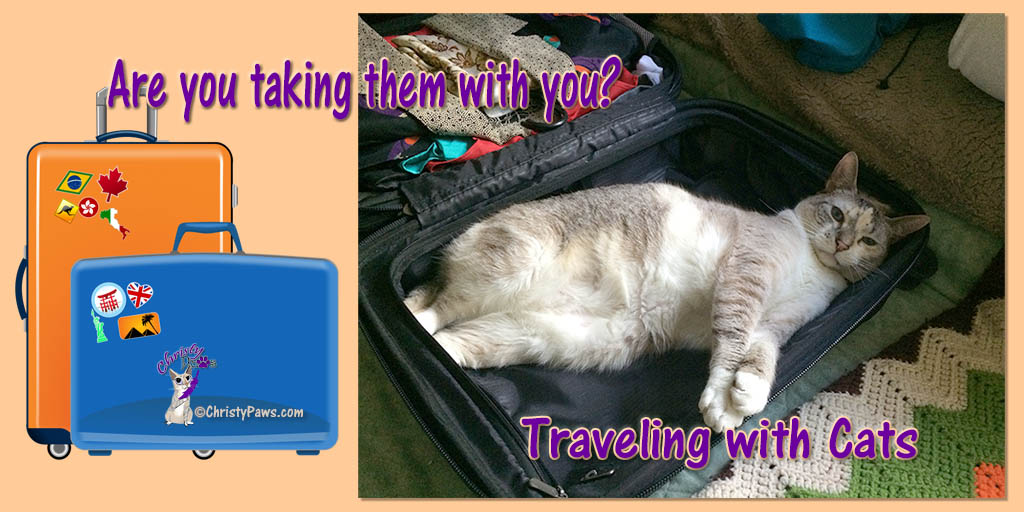 Whether you are a seasoned veteran traveler or getting ready to head out on your first trip, I bet you'll find lots of useful information on traveling with cats in these posts from some of my best pals.