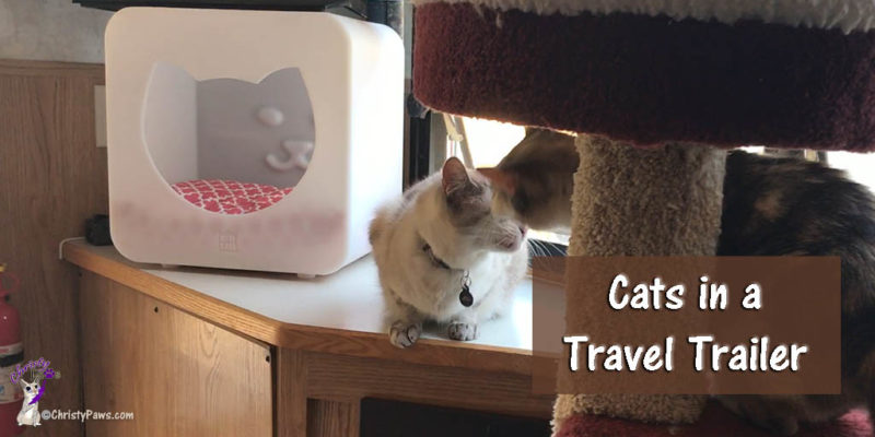 Two Cats in a Travel Trailer -- Preparing for the Adventure #TrippinWithChristy