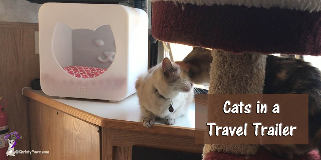 Two Cats in a Travel Trailer -- Preparing for Adventure