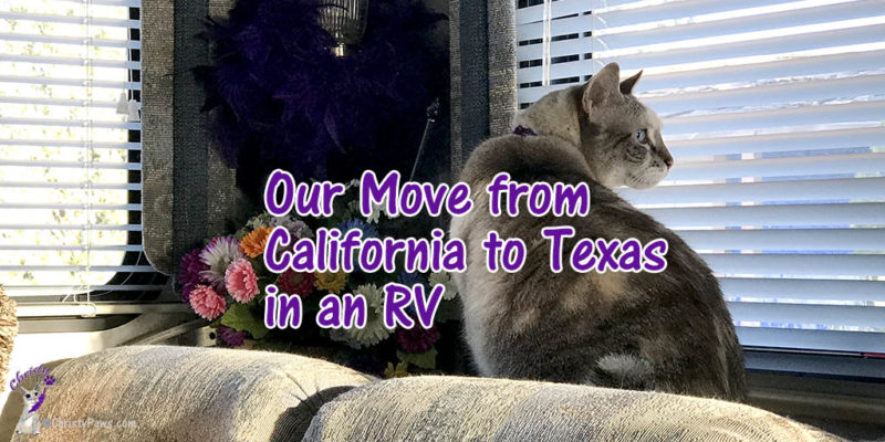 cat looking out window during RV trip with text overlay: Our move from California to Texas in an RV