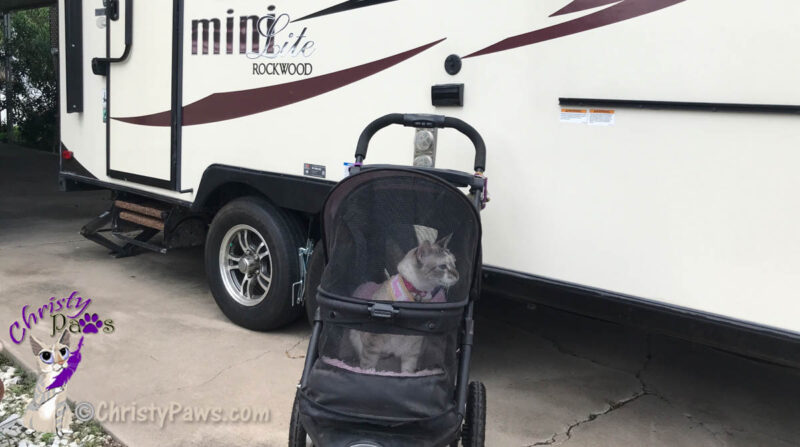 cat in stroller outside of travel trailer ready for RV trip