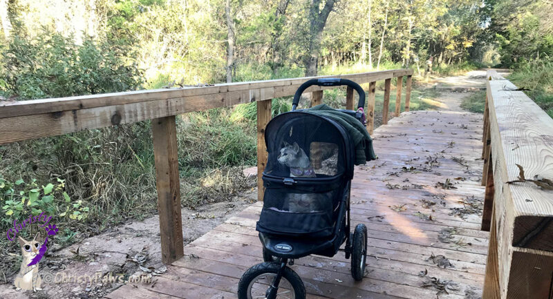 cat in a stroller on a walking bridge at Abilene State Park